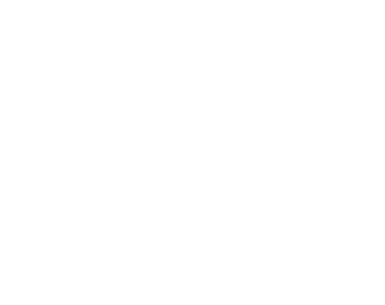  As the city formed, they created a council of leaders to contain, control, and exterminate threats to their city and the island. This included the mages, witches, warlocks, and anyone suspected of carrying arcane abilities. All people that were captured were assumed dead, imprisoned, or missing completely, while all others were scattered across the lands to form their own cities and safe havens. All magical prowess and skill were banned by order of the Council, called the Council of Orders. This council was made of the various orders of the Mitra that held power in their respective fields and classes. Despite the efforts of the Order, there still hold remnants of the Rapture through out. Ruins of fallen. Dragons that inhabit the mountains. Mages vying for revenge and to survive the wilderness of the island outside of Oseling. Now there is a calming quiet, as if a stillness in the air. An uncertainty among the people that walk this land. All that happens on this island could affect all others. All that is certain is that the storm is coming. After the Rupture was closed and the formation of the Council and founding of the Mitran Church of Killian Ruusilius I, there was a trial of the Mages that were captured. After extensive investigation (rumored including the first uses of torture and Quelling), the Council found that mages of certain orders were held responsible for the corruption and the Rupture being created, and therefore extensively banned the practitioner of all magics, save for healing magics and certain hidden magics the church were unaware of being used in the Quellings. Upon hearing this, many mages, witches, warlocks, and necromancers fled from the Capital and it's surrounding lands. Many mages began to form their own circles, others fled to their own realm to practice their arts, while others went into hiding. A Circle of Mages formed their own Council, wishing to provide aid to any and all mages that wished to find a safe haven to practice, learn, and archive their teachings.